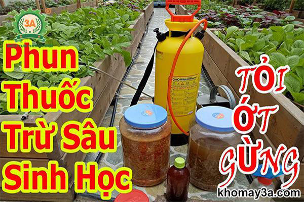 thuốc trừ sâu sinh học là gì