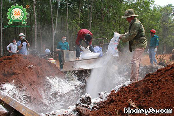 Trị bệnh lở mồm long móng ở bò