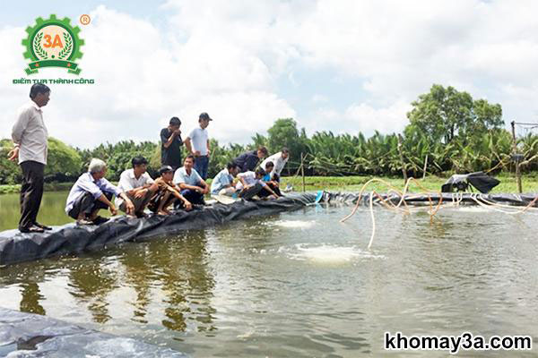 kỹ thuật nuôi tôm sú quảng canh